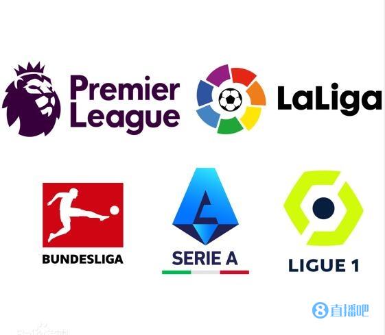 挥了重要作 挥了重要作